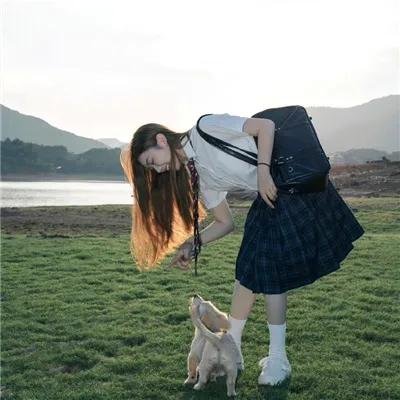 哈瓦那特派员